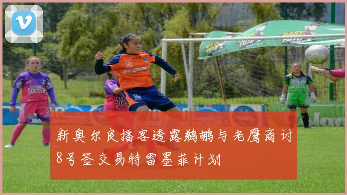 新奥尔良播客透露鹈鹕与老鹰商讨8号签交易特雷墨菲计划