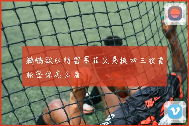 鹈鹕欲以特雷墨菲交易换回三枚首轮签你怎么看