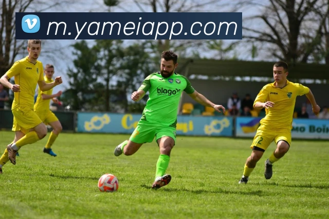 互动解说服务