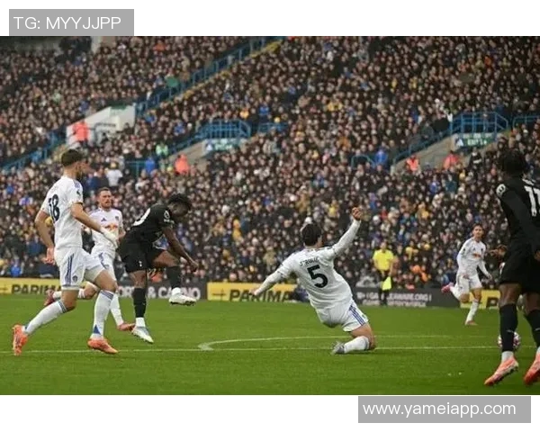 利兹联球迷两度向热刺球员投掷物品或将遭遇高额罚款